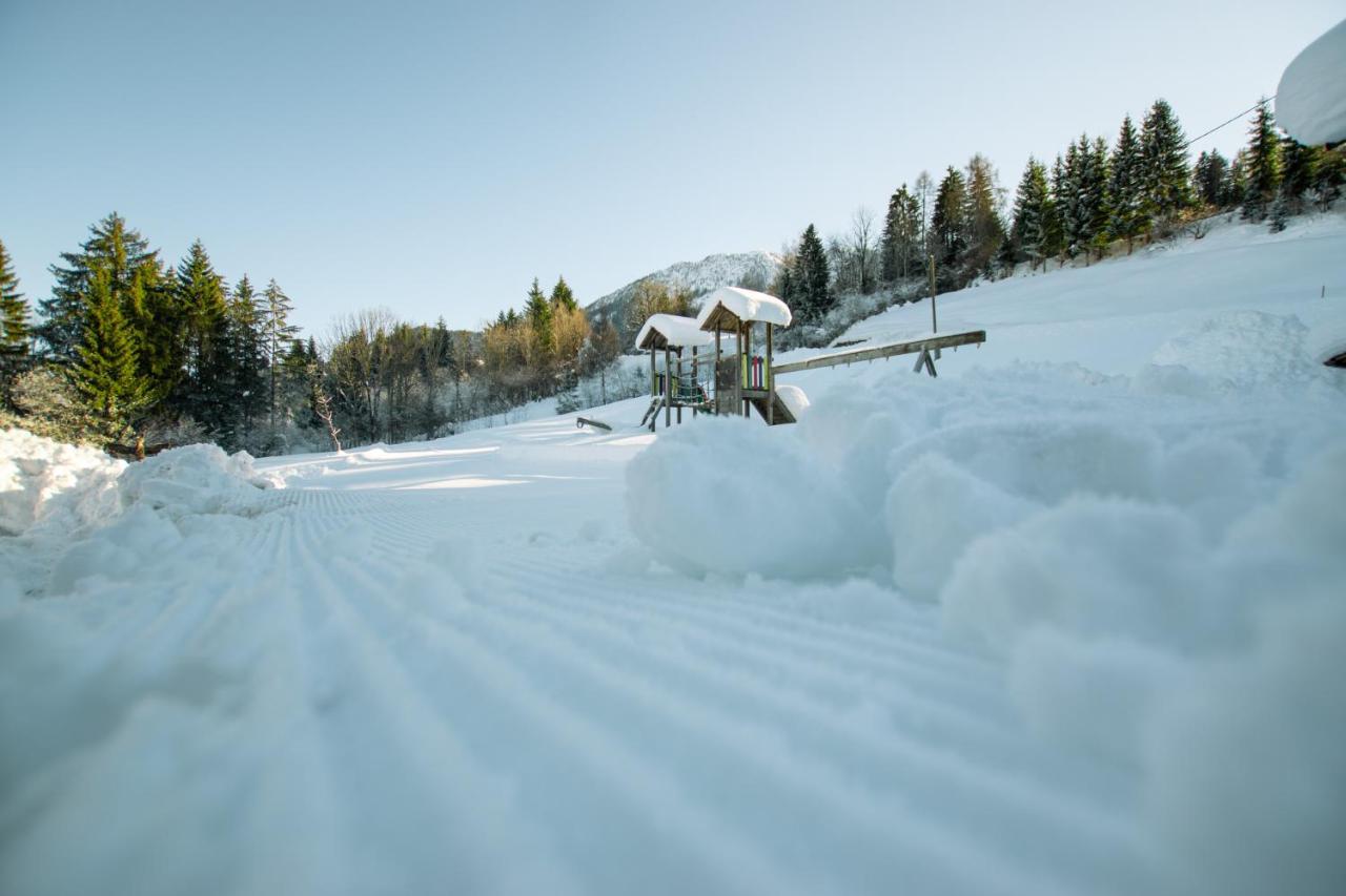 Chalets Und Apartments Hauserhof Nassfeld 스칼라니첸 외부 사진